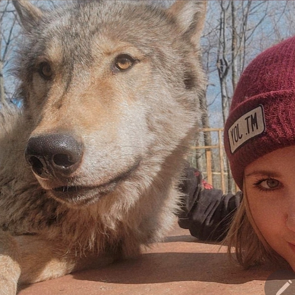 Meet your Posher, Lyss